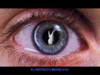 EL PROYECTO MATRIZ #141