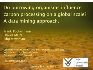 Do burrowing organisms influence carbon processing on a global scale? A data mining approach.