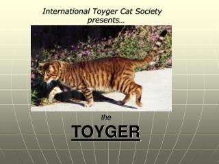 the TOYGER