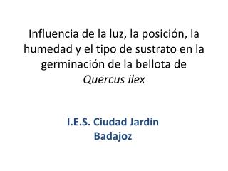 I.E.S. Ciudad Jardín Badajoz