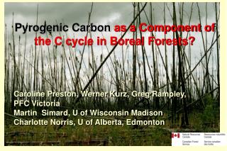 Pyrogenic Carbon as a Component of the C cycle in Boreal Forests?