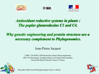 Antioxidant reductive systems in plants : The poplar glutaredoxins C1 and C4.