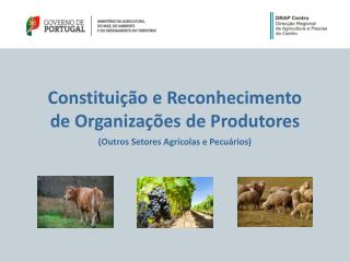 Constituição e Reconhecimento de Organizações de Produtores (Outros Setores Agrícolas e Pecuários)