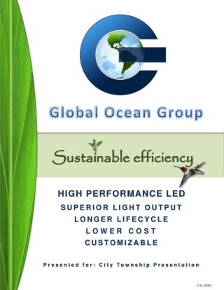 HIGH PERFORMANCE LED SUPERIOR LIGHT OUTPUT LONGER LIFECYCLE LOWER COST CUSTOMIZABLE