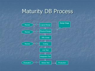 Maturity DB Process