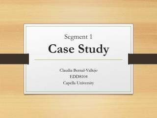 Segment 1 Case Study