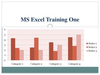 MS Excel Training One