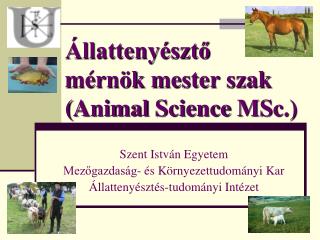 Állattenyésztő mérnök mester szak ( Animal Science MSc .)