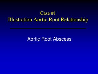 Case #1 Illustration Aortic Root Relationship