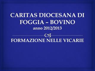 CARITAS DIOCESANA DI FOGGIA – BOVINO anno 2012/2013 FORMAZIONE NELLE VICARIE