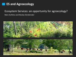 Ecosystem Services: an opportunity for agroecology ?