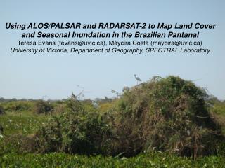 Study Area – The Brazilian Pantanal