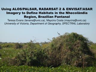 Study Area – Nhecolândia Region The Brazilian Pantanal