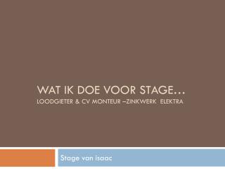 Wat ik doe voor stage… loodgieter &amp; cv monteur –zinkwerk elektra