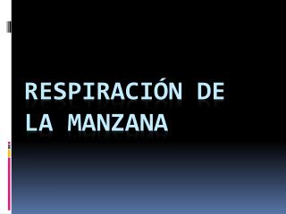 Respiración de la manzana