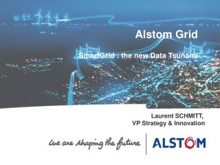 Laurent SCHMITT, VP Strategy &amp; Innovation
