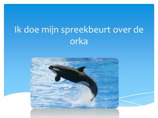 Ik doe mijn spreekbeurt over de orka