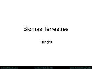 Biomas Terrestres