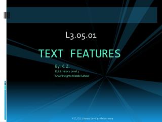 TEXT FEATURES