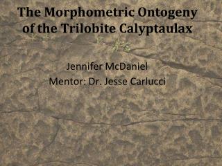 The Morphometric Ontogeny of the Trilobite Calyptaulax