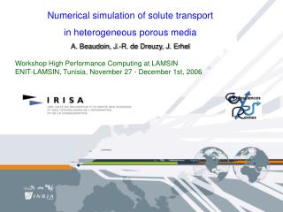 Numerical simulation of solute transport in heterogeneous porous media