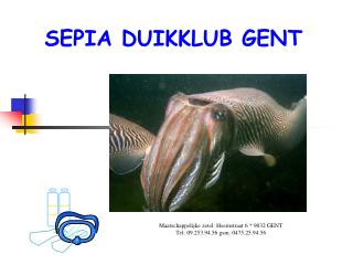 SEPIA DUIKKLUB GENT