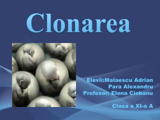 Elevii:Malaescu Adrian Para Alexandru Profesor: Elena Ciobanu Clasa a XI-a A