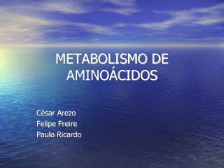 METABOLISMO DE AMINOÁCIDOS