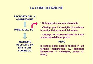 LA CONSULTAZIONE