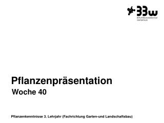 Pflanzenkenntnisse 3. Lehrjahr (Fachrichtung Garten-und Landschaftsbau)