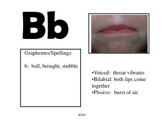 Voiced: throat vibrates Bilabial: both lips come together Plosive: burst of air