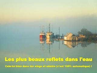 Les plus beaux reflets dans l'eau