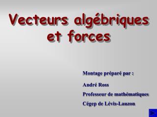 Vecteurs algébriques et forces