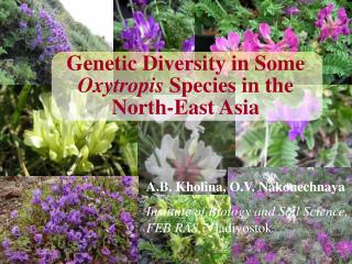 Genetic Diversity in Some Oxytropis Species in the North-East Asia