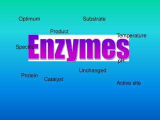 Enzymes