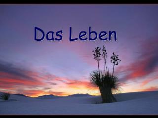 Das Leben