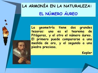 LA ARMONÍA EN LA NATURALEZA : EL NÚMERO ÁUREO