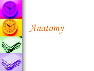 Anatomy