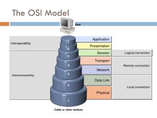 The OSI Model