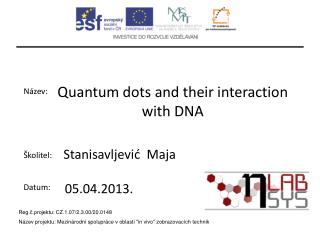 Quantum dots and their interaction with DNA