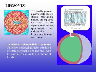 LIPOSOMES