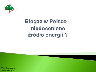 Biogaz w Polsce – niedocenione źródło energii ?