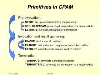 Primitives in CPAM