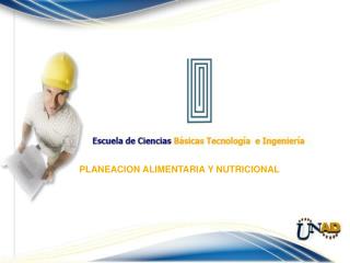 PLANEACION ALIMENTARIA Y NUTRICIONAL