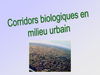 Corridors biologiques en milieu urbain