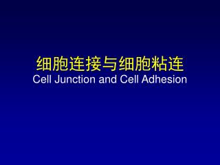 细胞连接与细胞粘连 Cell Junction and Cell Adhesion