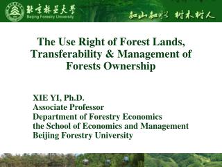 The Use Right of Forest Lands, Transferability &amp; Management of Forests Ownership