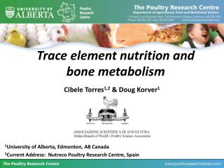 Trace element nutrition and bone metabolism