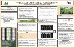 MICROBIAL DYNAMICS IN CONVENTIONAL AND ORGANIC MANAGED SYSTEMS