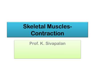 Skeletal Muscles- Contraction